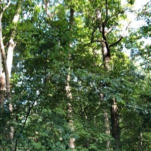 Meet your Posher, Martha